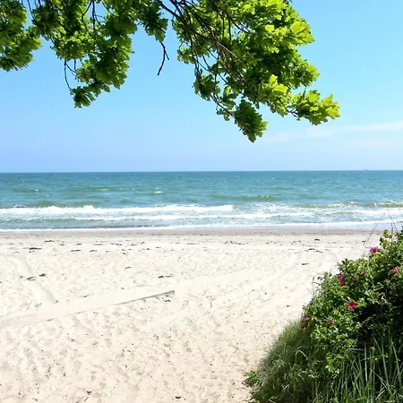 Apartment strandnahe FeWo mit Balkon, gratis Nutzung vom AHOI Erlebnisbad und Sauna in Sellin - Rex Rugia FeWo 10-6 Lobbe